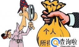 2018个人所得税如何查询