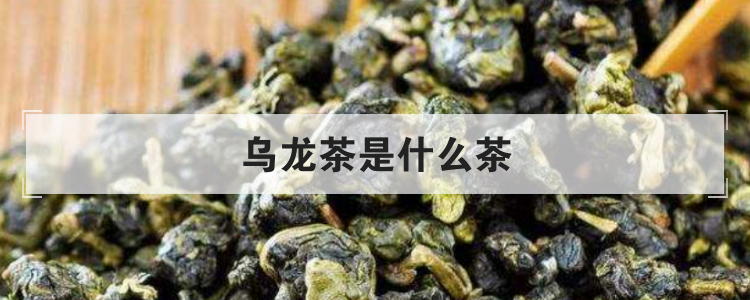 乌龙茶是什么茶