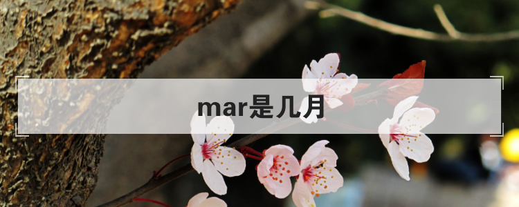 mar是几月