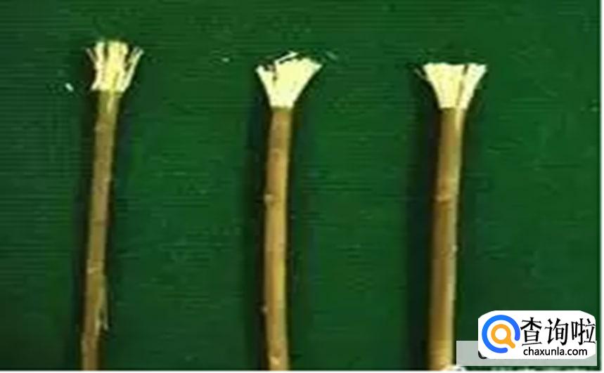 家里没牙膏了怎么应急刷牙