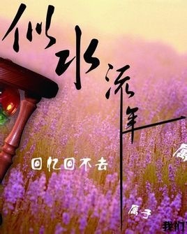 似水流年什么意思