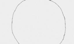 教你画七星瓢虫的简笔画