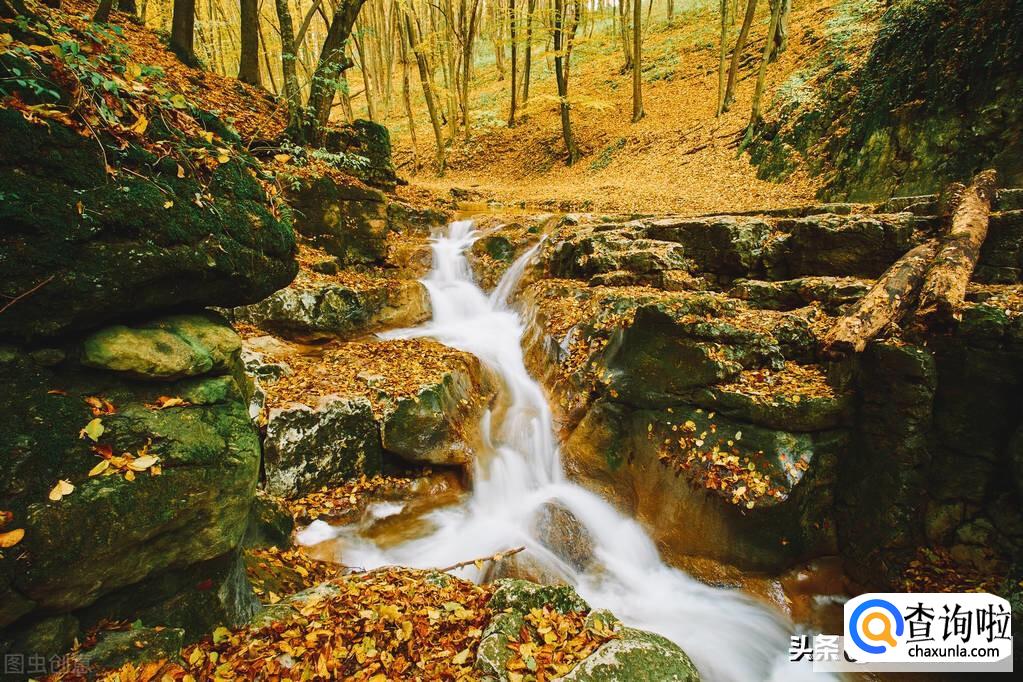 摄影构图法有哪些