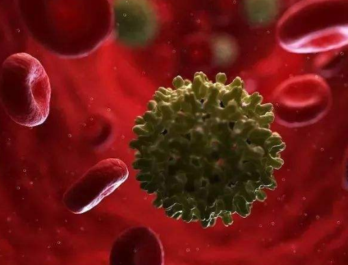 hbsag阳性是什么意思