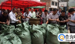 在农村如何赚钱