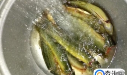 菠菜泥鳅豆腐汤的做法