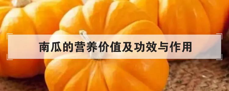 南瓜的营养价值及功效与作用br