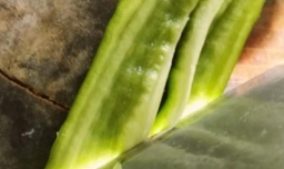 家常青椒炒腊肉的做法