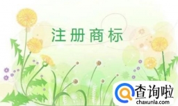 注册商标你会选择代理机构吗?