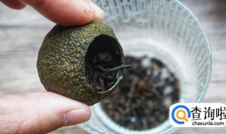 小青柑普洱茶怎么泡