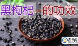 哪些滋补药材适合补气补血补阴？如何选择适合自己的滋补药材？