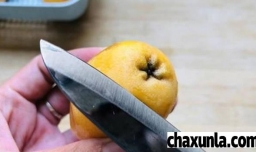 不加酒的枇杷酒如何制作