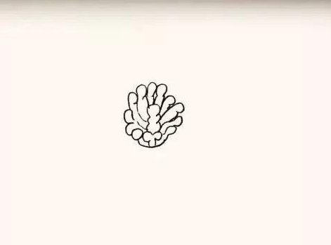 花朵简笔画