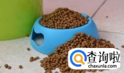 超实用教你如何挑选狗粮和辨别狗粮好坏