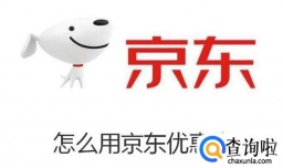 怎么用京东优惠券