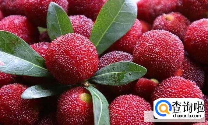 杨梅太酸了有什么吃法比较美味