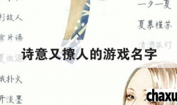 诗意又撩人的游戏名字