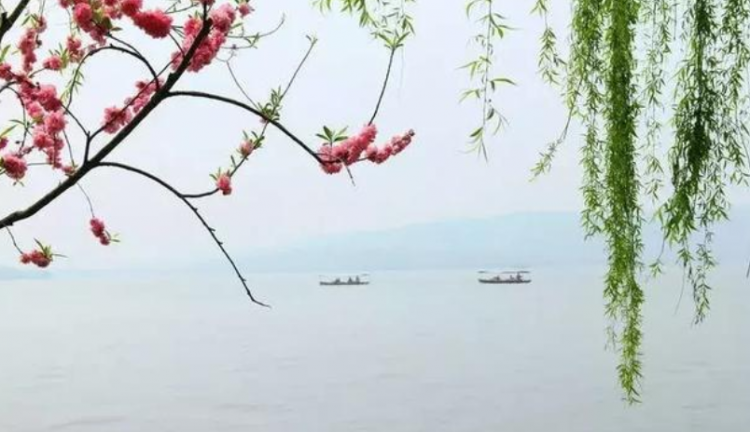 良辰美景奈何天是什么意思