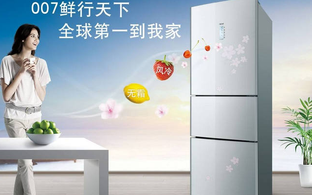冰箱排名前十的品牌有哪些	