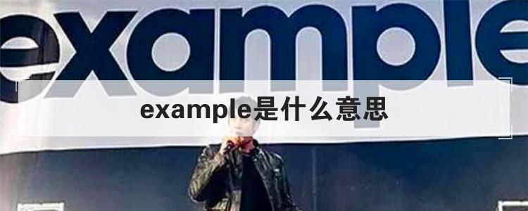 example是什么意思