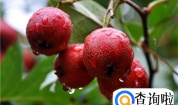 不小心吃太饱了怎么办