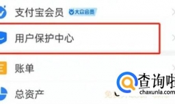 支付宝如何开启大额保护