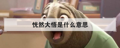 恍然大悟是什么意思