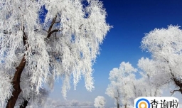 雾凇岛什么时候有雾凇