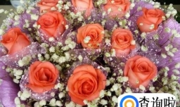 平安夜送女朋友什么礼物好？