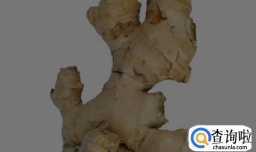 鹅肉用什么炖好