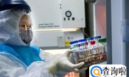 金冬雁：全球疫情正走向终结