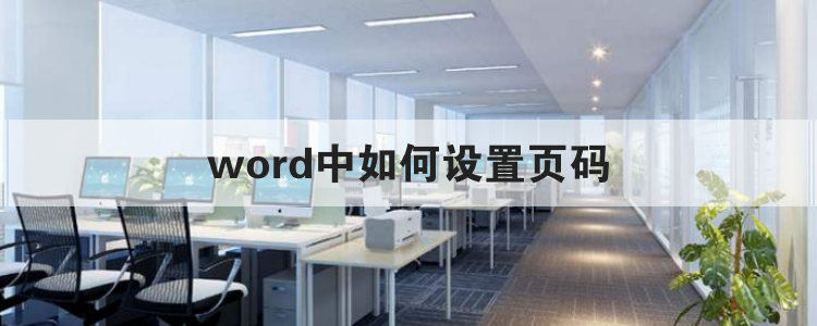 word中如何设置页码