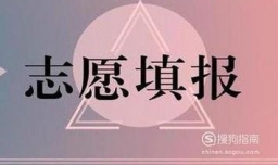 美术生高考后专业选择