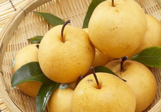 梨的功效与作用