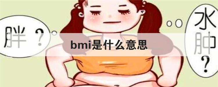 bmi是什么意思