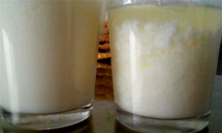 乳清可以做什么