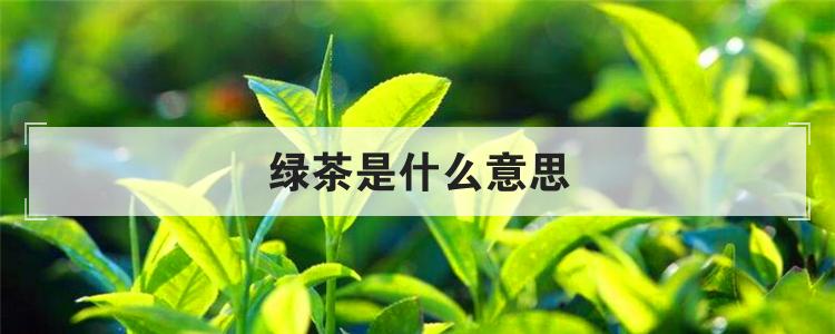 绿茶是什么意思