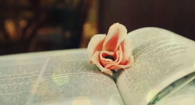 关于学习的名人名言有哪些