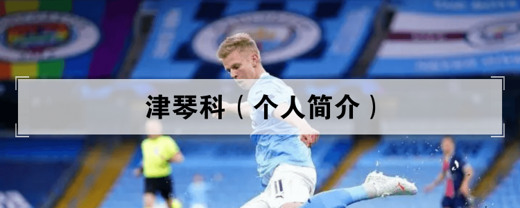 津琴科（个人简介）