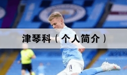 津琴科（个人简介）