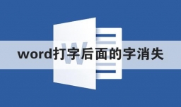 word打字后面的字消失