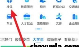 个人缴纳养老保险如何交费