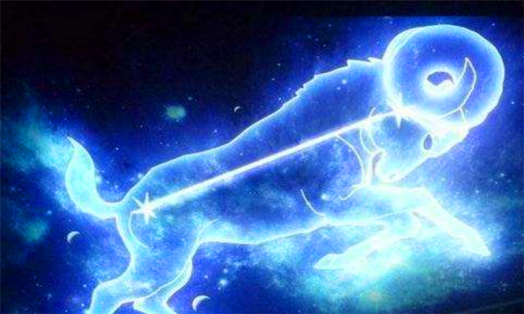 摩羯男喜欢的四种女人