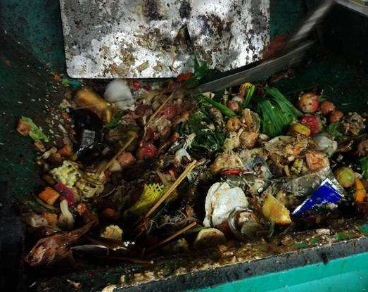 哪类垃圾可以进行填埋处理