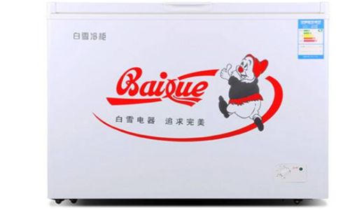 冰柜排行榜前十名家用