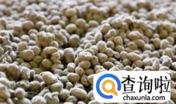 高粱酒的制作方法