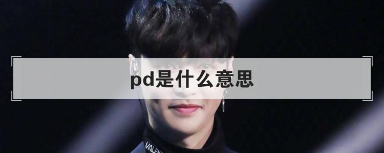 pd是什么意思