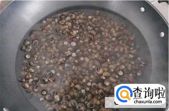 田螺清洗又快又干净的方法