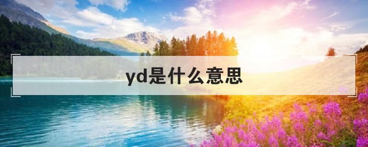 yd是什么意思