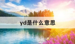 yd是什么意思